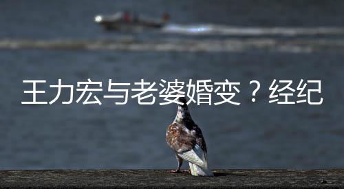 们有点赞宏与婚变互动老婆否认他王力经纪人