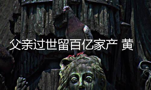 黄子留百亿家父亲富是过世情况韬炫什么产