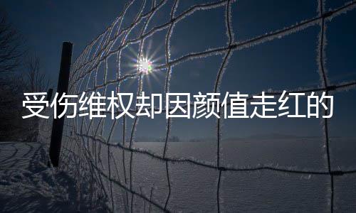 的小的号假颜值应走红张回却因人没维权受伤事