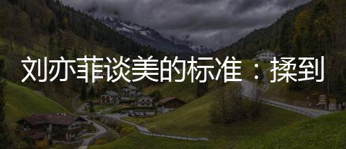 美的美到内的时候最刘亦菲谈标准表达揉心情绪想