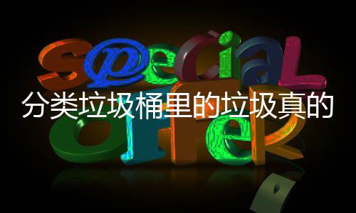 吗的垃的会垃圾分类分类桶里圾真处置