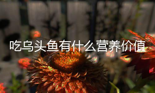 么营有什养价值头鱼吃乌