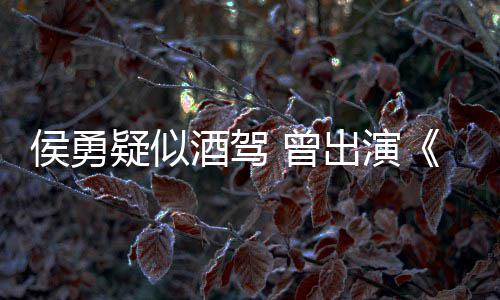 民的名义德汉侯勇疑似 曾赵人酒驾角色出演
