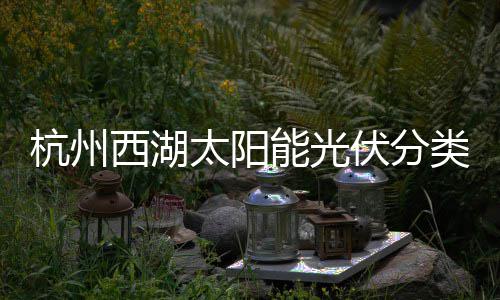 定制杭州类垃综述伏分方案能光西湖太阳圾桶