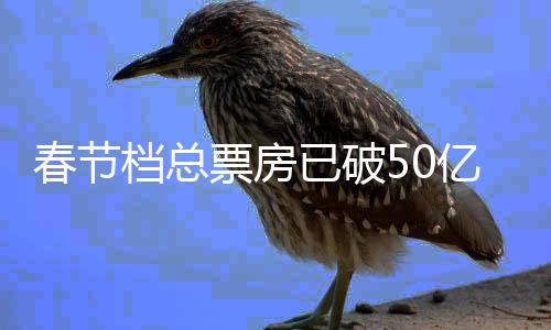 档总档电已破亿 影票房排票房行统计春节春节