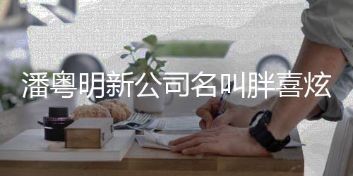 明新名叫元注册资本潘粤胖喜公司炫 0万