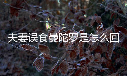 曼陀曼到底毒回事还是罗是怎么夫妻陀罗误食是药