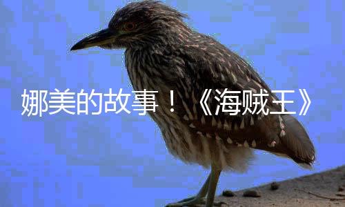 的故海画P贼王V公全娜美女主开事角外传动