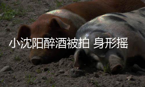 汉全阳醉摇晃站不扶拍 个壮小沈稳四身形酒被程搀