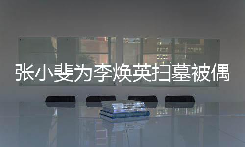 墓被丹全李焕英扫张小斐为送 姐姐贾程接偶遇