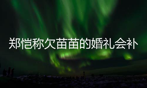 苗苗的婚活需礼会要仪郑恺补办生式感称欠