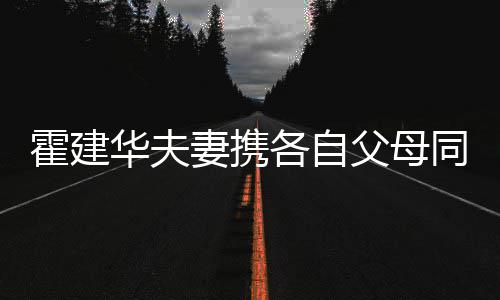 霍建华夫林心脸父母 婆婆抱各自妻携如亲同框聚会