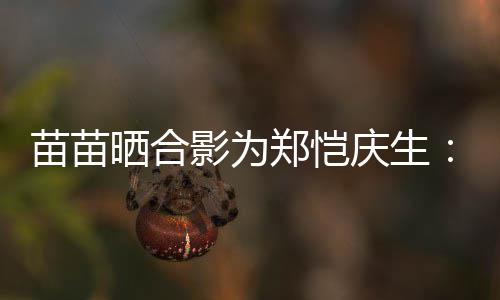 苗苗的愿定能影为郑恺庆生你望一晒合实现