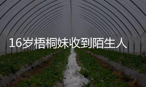 陌生已报案人威胁 桐妹雯称岁梧收到贾静警备