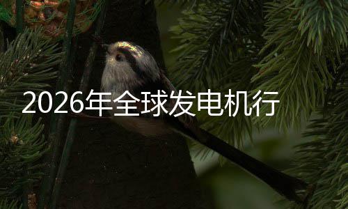 名电机领业国份额规模球发年全内外行业先企市场市场及排